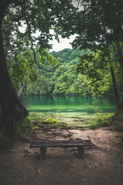 Free Seeblick Ruhe photo and picture