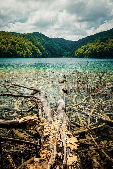 Free Seeblick Nature photo and picture