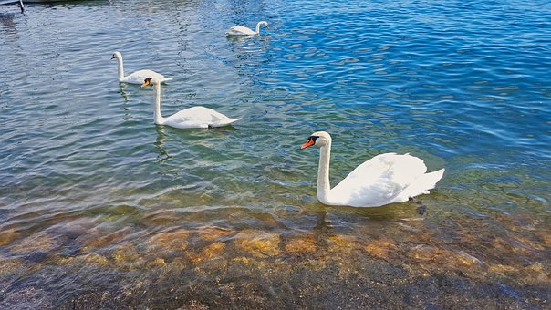 Free Nature Blue photo and picture
