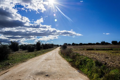 Free Landscape Path photo and picture