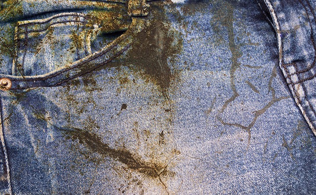 Abstract, Backdrop, Background, Bag
