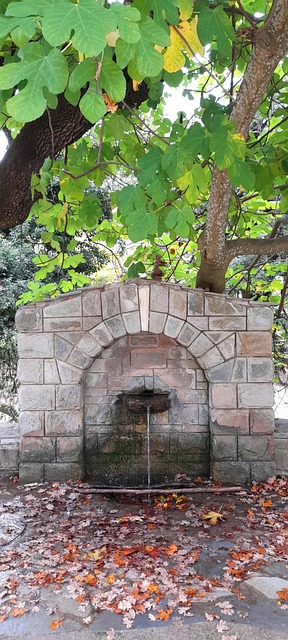 Free Stones Water photo and picture
