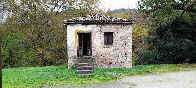 Free Old House Forest photo and picture