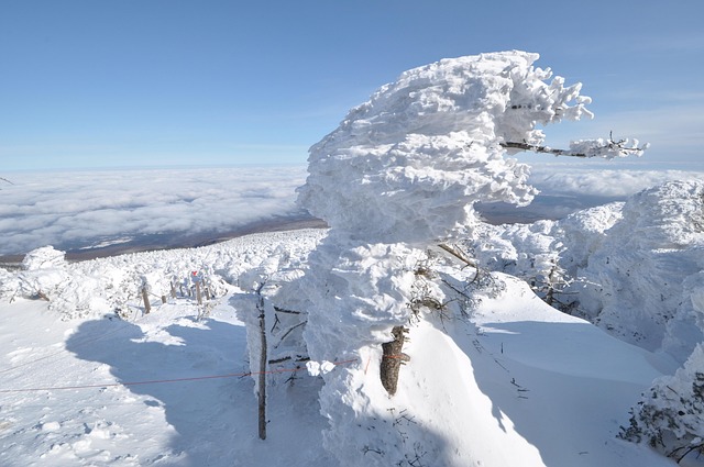 Free Snow Scene Mt Hanlla photo and picture