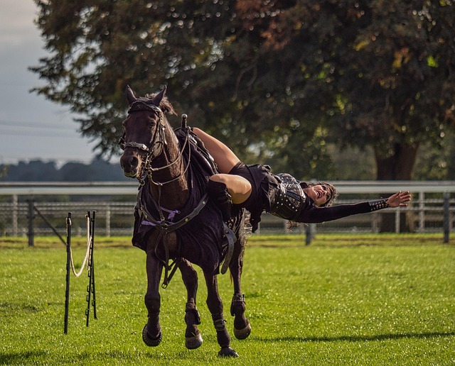 Free Horse Horsewoman photo and picture