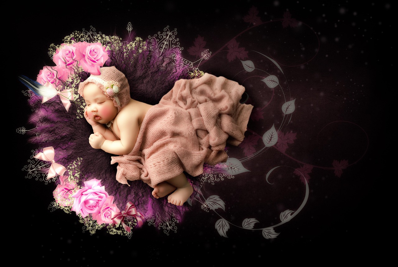 Baby Roses Images Baby Roses Flowers - Free photo on Pixabay - Pixabay