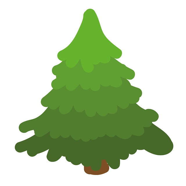 Free fir tree nature christmas tree illustration