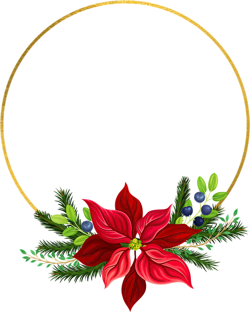 Free christmas pointettia flower vector