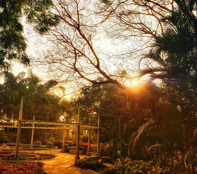 Free Park Nature photo and picture