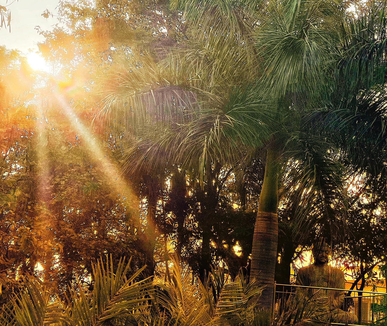 soleil-nature-rayons-du-photo-gratuite-sur-pixabay-pixabay