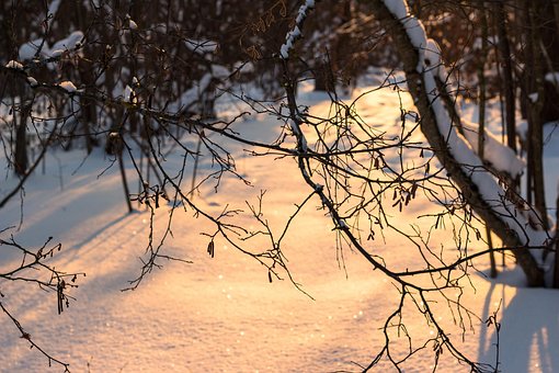 Baggrund, Tapet Hd, Hd Tapet, Vinter
