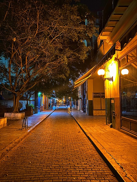 Free City Buildings photo and picture