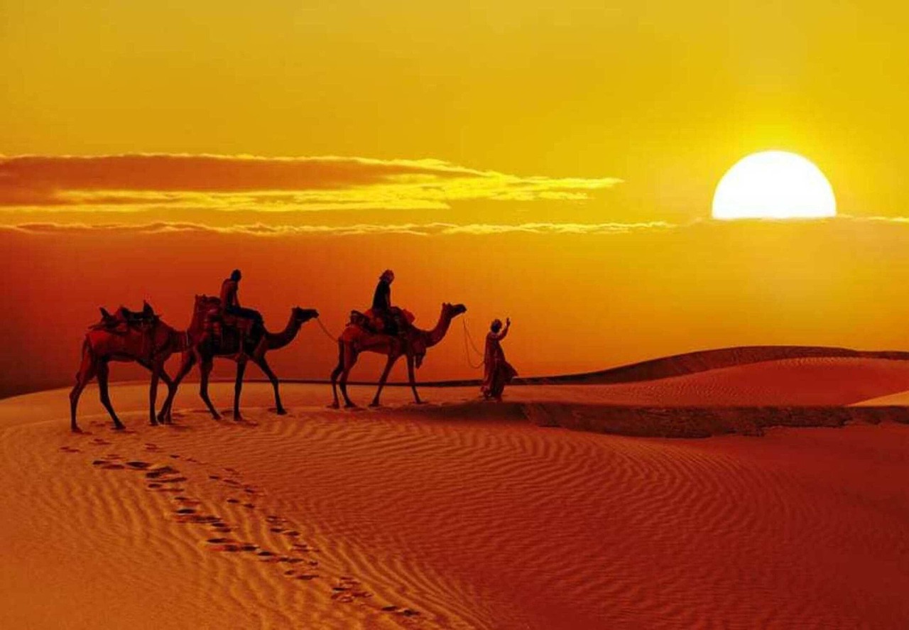 Best Rajasthan Tour Packages - Free photo on Pixabay - Pixabay