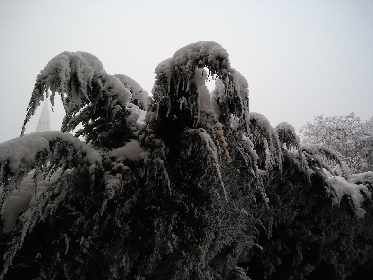 弗罗斯特 严寒 冰 - Pixabay上的免费照片 - Pixabay