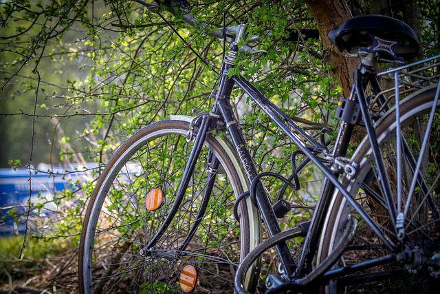 Free Bike Bicycle photo and picture