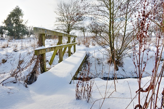 Free Snow Winter photo and picture