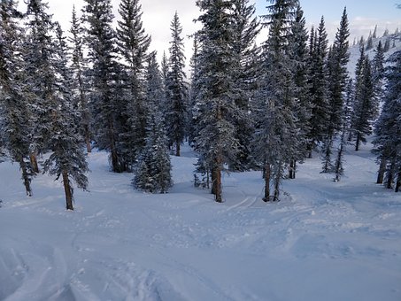 Free Snow Skiing photo and picture