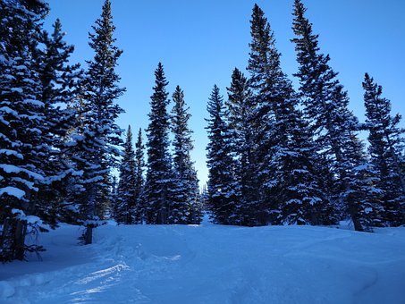 Free Snow Skiing photo and picture