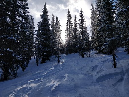 Free Snow Skiing photo and picture