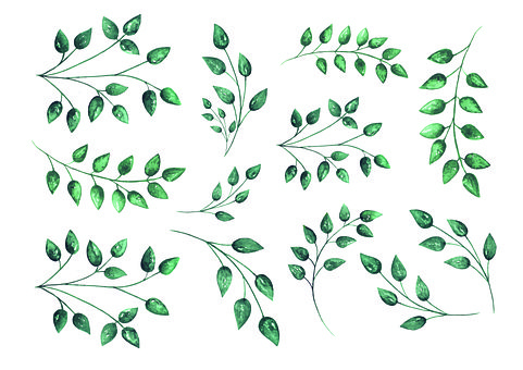 Free Leaves Nature photo and picture