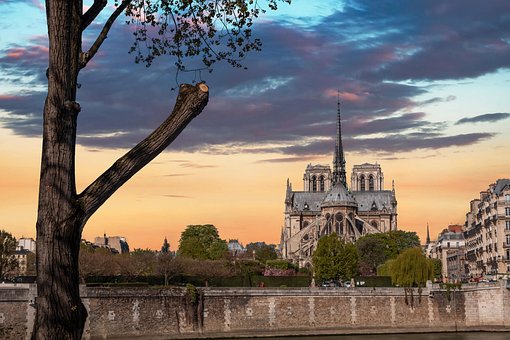 Free Cathedral Paris photo and picture
