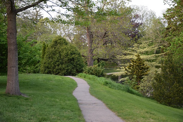 Parc Nature Chemin - Photo gratuite sur Pixabay