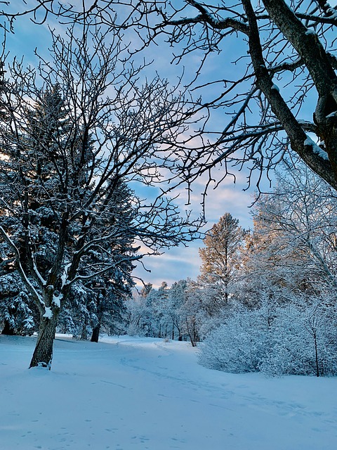 Free Late Afternoon Sky photo and picture