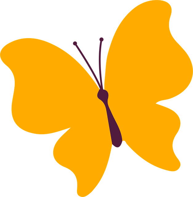 Free Butterfly Insect vector and picture