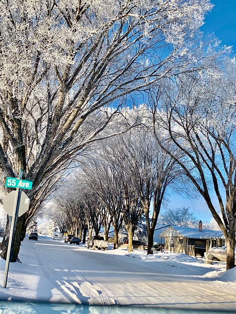 Free Neighborhood Mature Area photo and picture