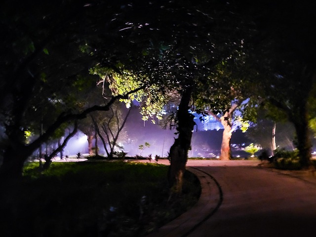 Free Winter Dhaka photo and picture