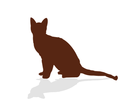 Kat, Kæledyr, Skygge, Tilbage, Øre, Hale