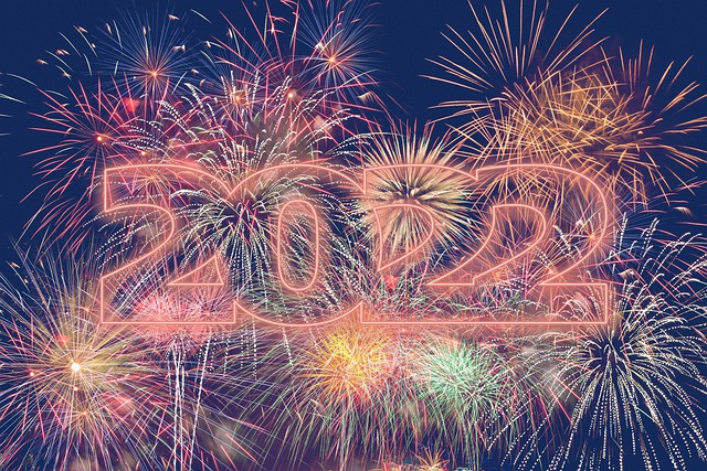 Free new year's day sylvester fireworks illustration