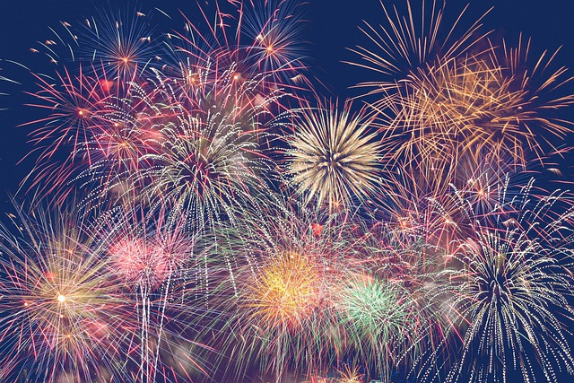 Free new year's day sylvester fireworks illustration