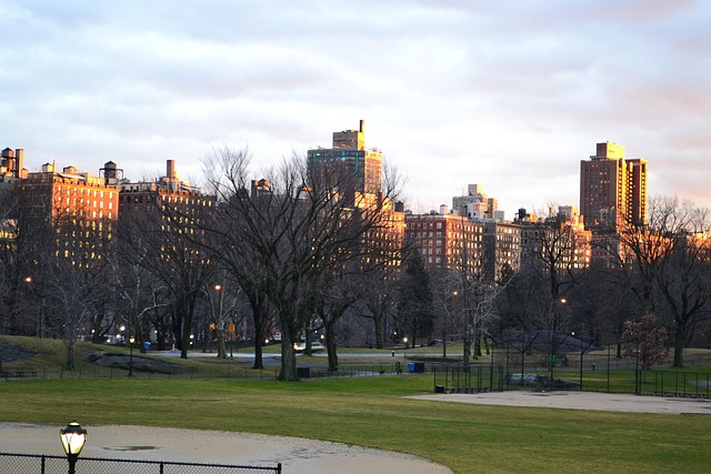 Free Central Park photo and picture