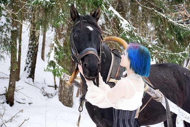 Free Young Woman Horse photo and picture
