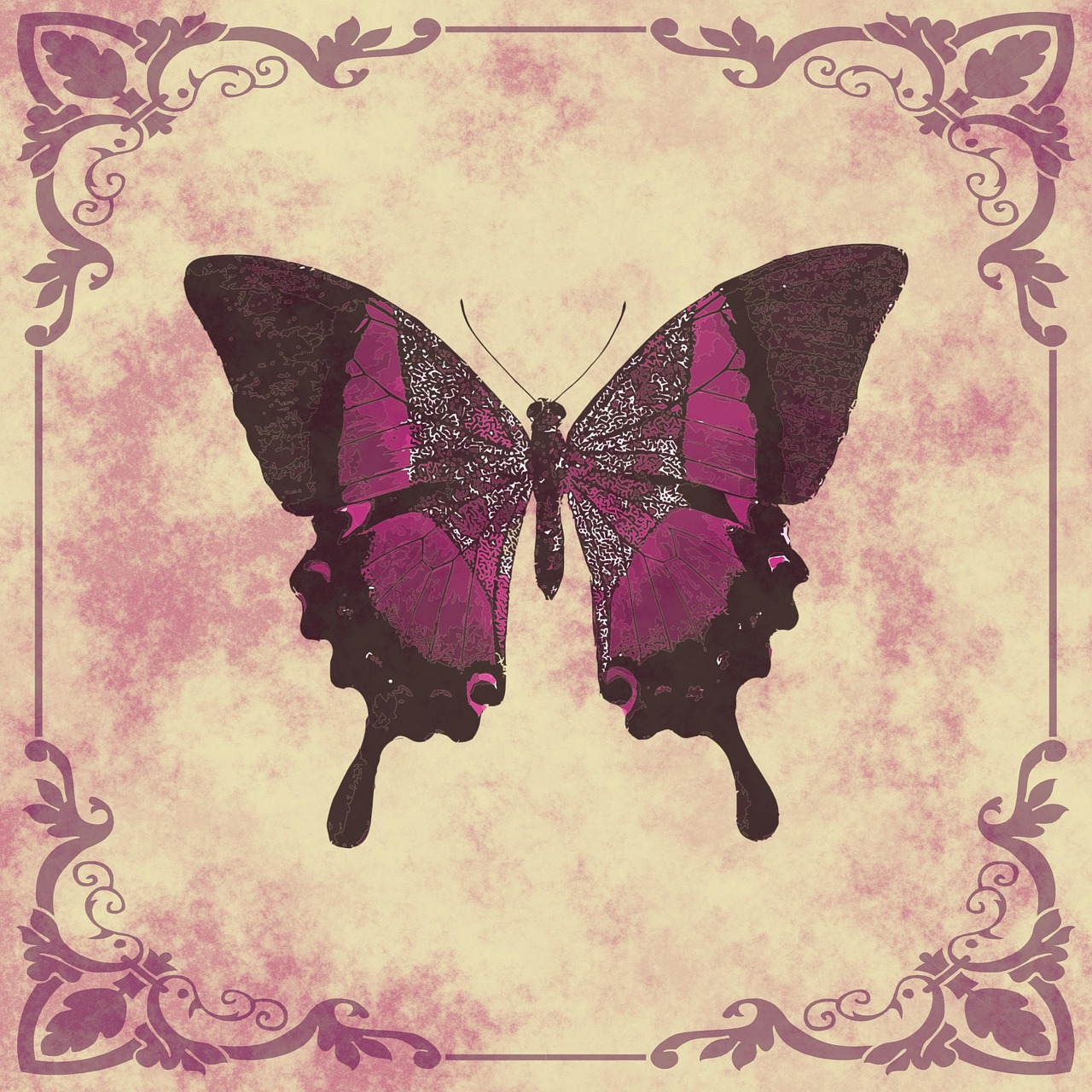 Butterfly - free online jigsaw puzzle photo