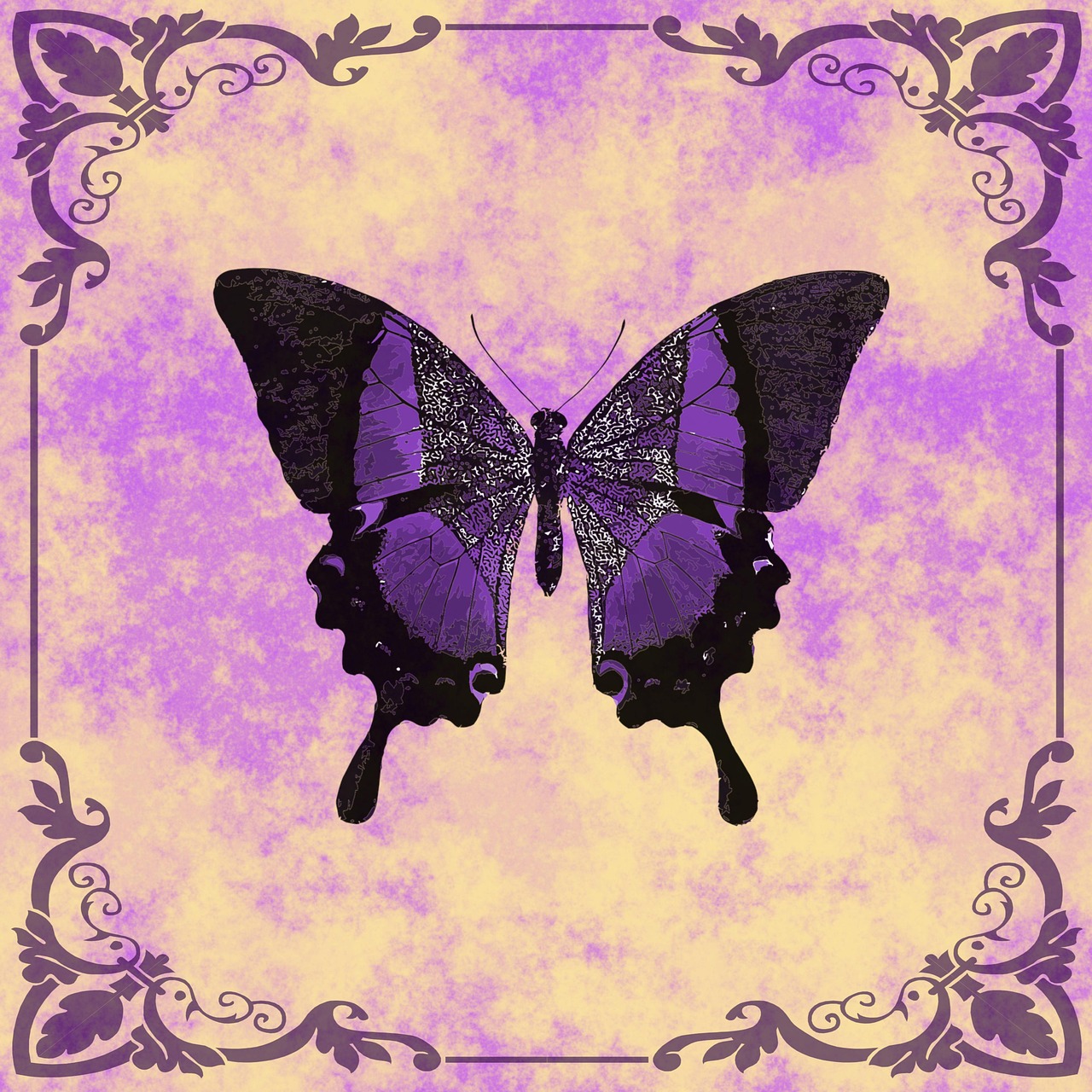 Butterfly - free online jigsaw puzzle photo