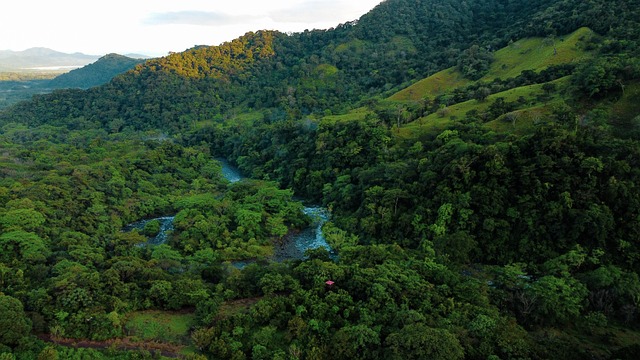 Free River Landscape photo and picture