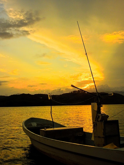 Free Boat Sea photo and picture