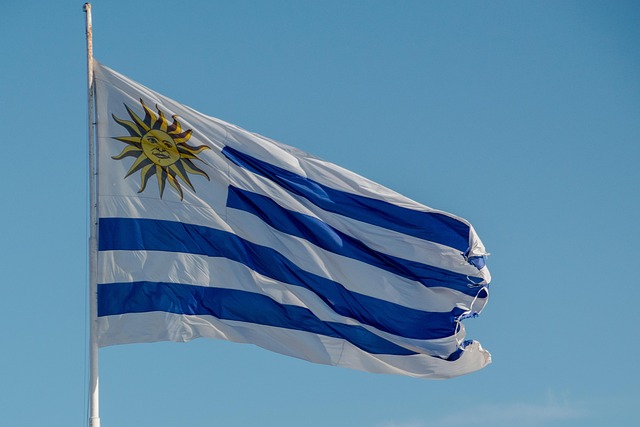 Bandera, Uruguay, Sol, Viento