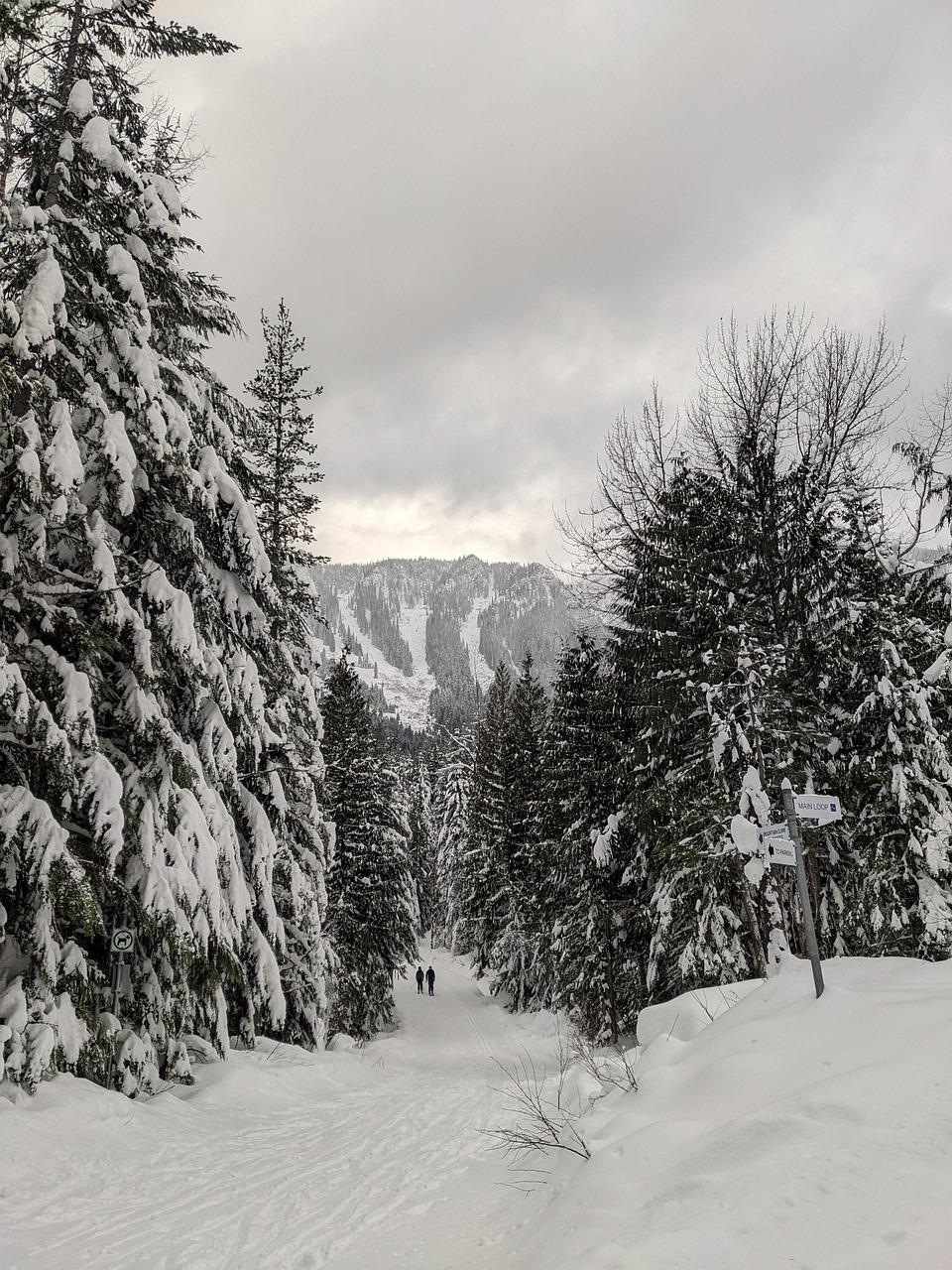 CrossCountry Skiing Mount Free photo on Pixabay Pixabay