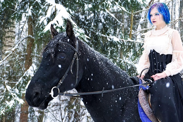 Free Young Woman Horse photo and picture