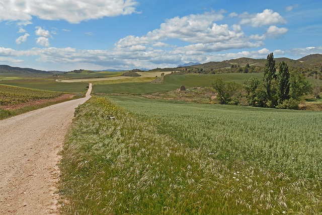 Free Pilgrimage Pilgrim photo and picture