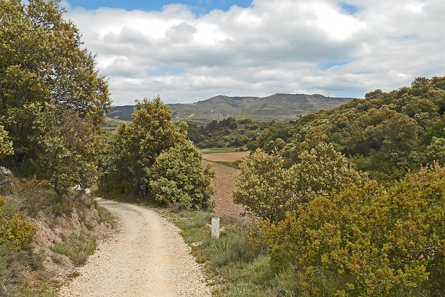 Free Pilgrimage Pilgrim photo and picture