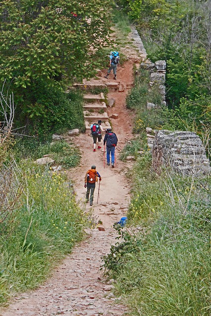 Free Pilgrimage Pilgrim photo and picture
