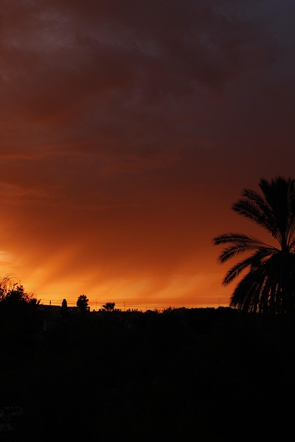Free Sun Sky photo and picture