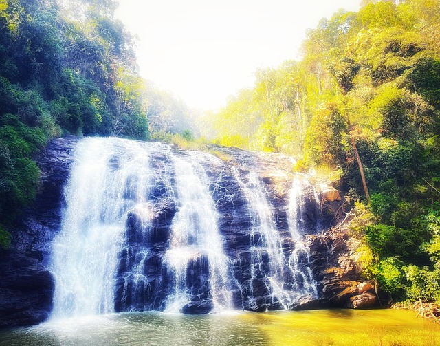 Free Waterfalls Nature photo and picture