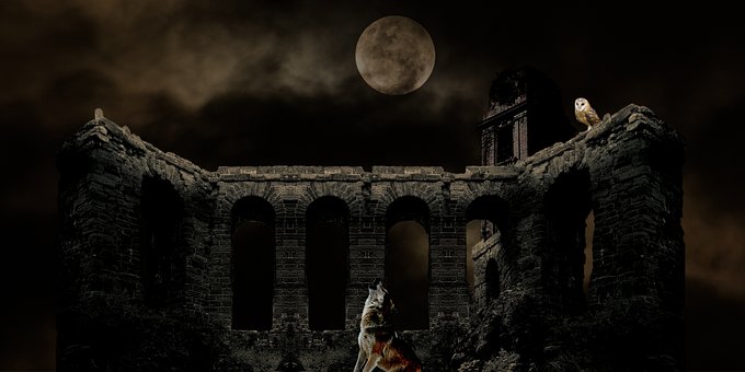Free Wolf Owl photo and picture