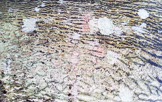 Kulit, Pohon, Kulit Pohon, Bark