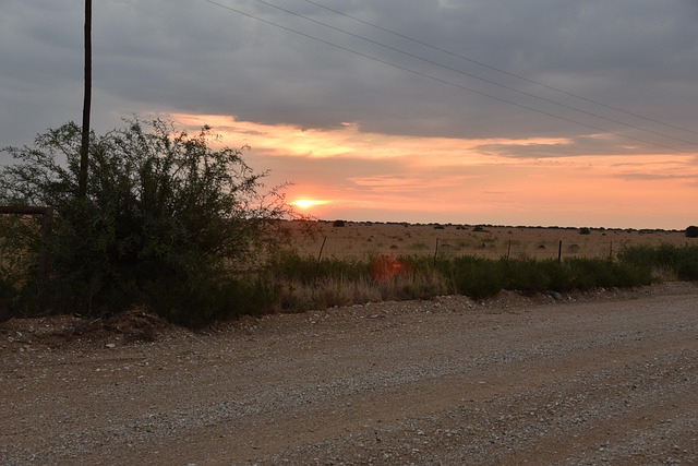 Free Electricity Pylons Sunset photo and picture